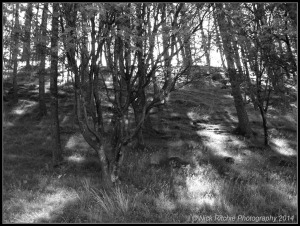 Lake District 2014 pt2 051 contrast frame NR 50%
